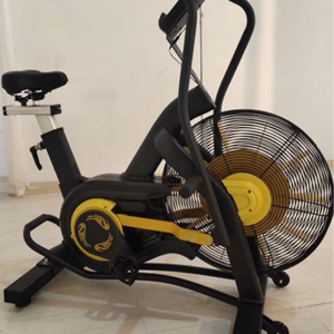 AEROFIT Recumbent AF 250 ASSAULT BIKE